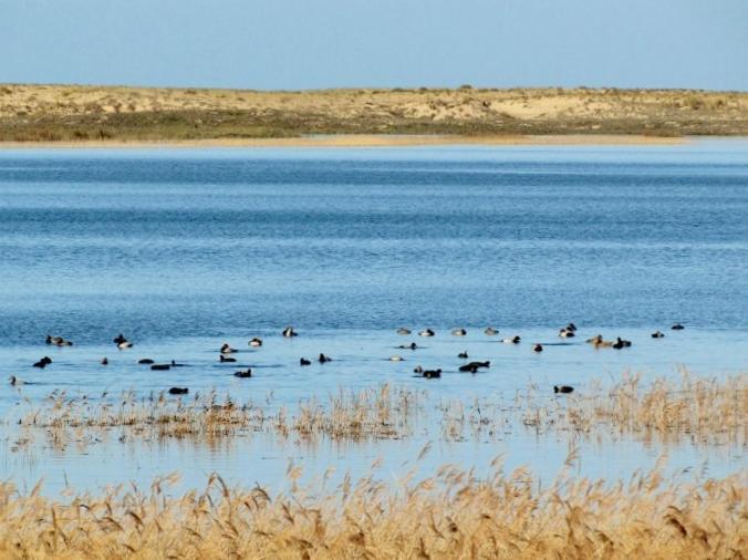 La Gallega Valdoviño Екстериор снимка